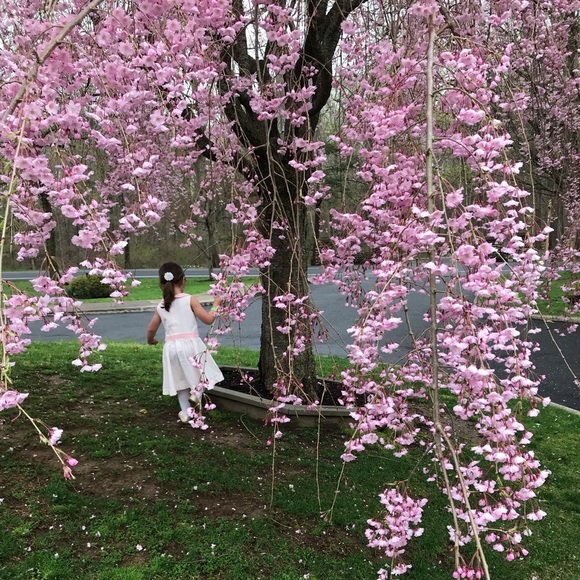 Meet your Posher, Sara - Picture 1 of 1